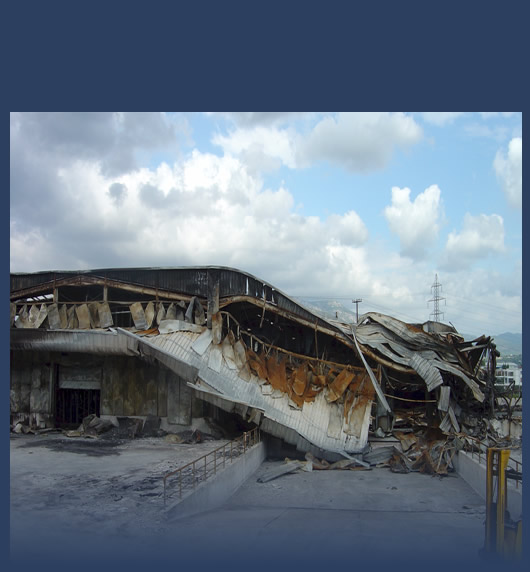 2006